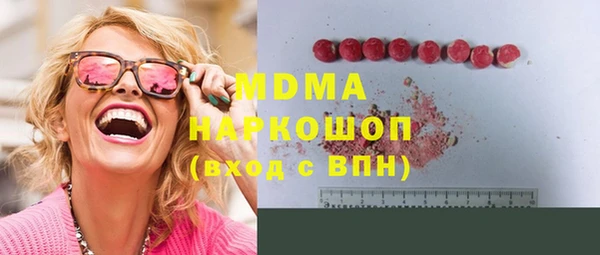 гидра Богородск