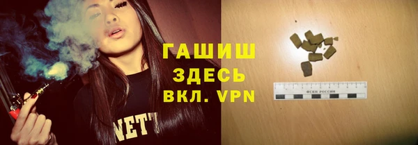 гидра Богородск