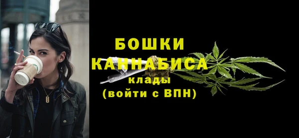гидра Богородск
