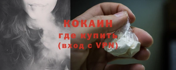 гидра Богородск