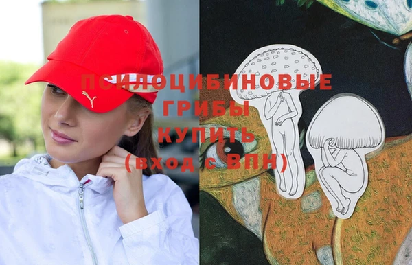 гидра Богородск